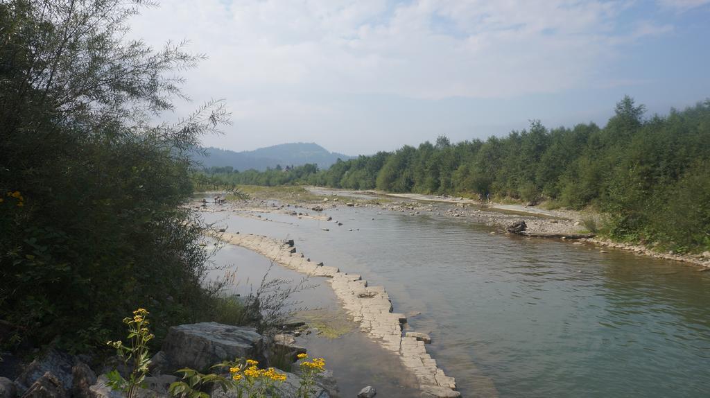 Kozarik * Mykulychyn